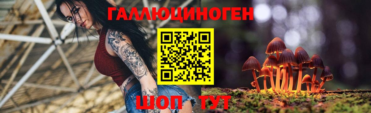 Галлюциногенные грибы MAGIC MUSHROOMS  Вход с VPN  Магнитогорск  Галлюциногенные грибы мухоморы 